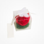 Mărturie Elegantă: Trandafir Roșu în Cutiuță Transparentă - imagine 2