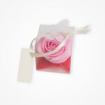 Mărturie Elegantă: Trandafir Roz în Cutiuță Transparentă - imagine 3