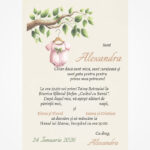 Invitație digitală pentru botez „O floare nouă în grădina familiei” LI-B008